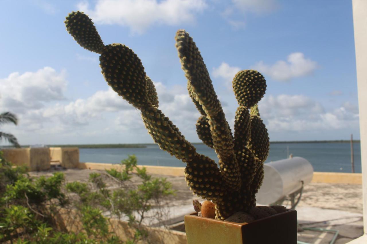 Kijani Hotel Lamu Buitenkant foto